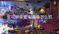 宝可梦朱紫电海燕怎么抓 宝可梦朱紫电海燕位置介绍